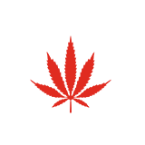 Drug Offenses