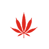 Drug Offenses